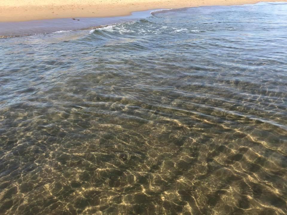 l'Appartamento Liana monolocale San Vincenzo Esterno foto